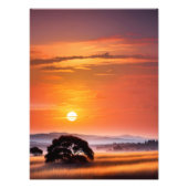 Silhouetted Tree bij zonsondergang Foto Afdruk (Voorkant)