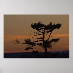 Silhouetten bij schemering fine art print