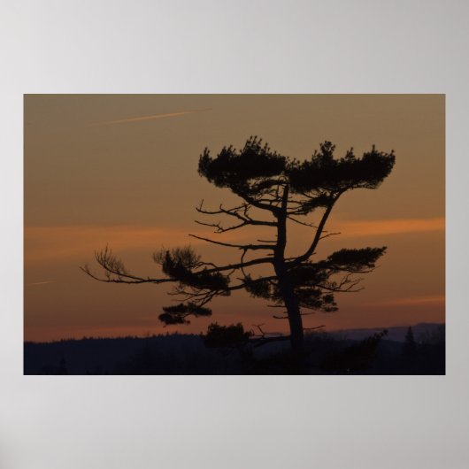 Silhouetten bij schemering fine art print (Voorkant)