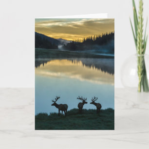 Silhouetten van mannetjes elanden bij Poudre Lake Kaart
