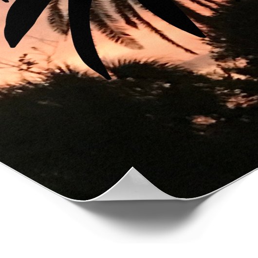 Silhouetten van palmbladeren bij zonsondergang poster (Hoek)
