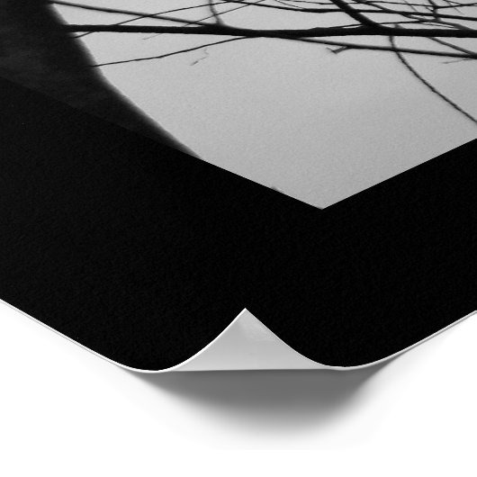 Silhouettes Poster (Hoek)