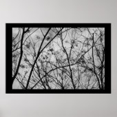 Silhouettes Poster (Voorkant)