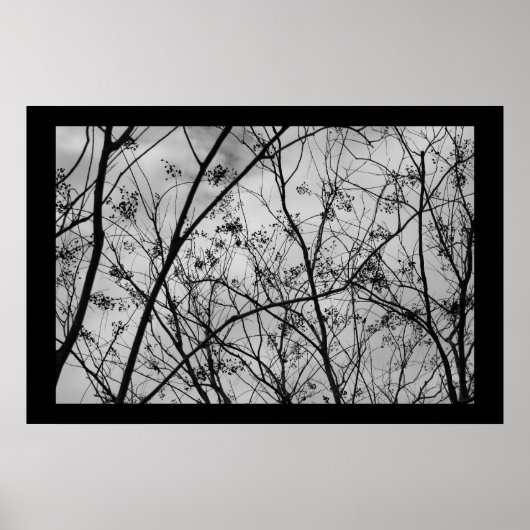 Silhouettes Poster (Voorkant)