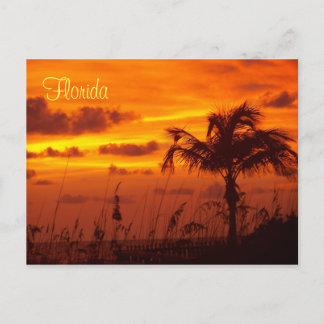 Silhouettes uit Florida Briefkaart
