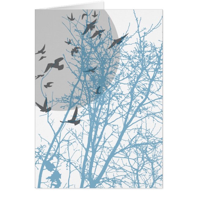 silhouetvogels (Voorkant)