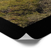 Silicium Valley Panoramisch Uitzicht Afdrukken Poster (Hoek)