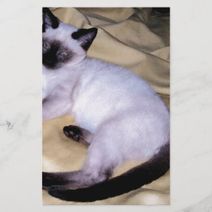 Siliciumhoudend kat van zandsteen voor kattenhuisd briefpapier