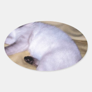 Siliciumhoudend kat van zandsteen voor kattenhuisd ovale sticker