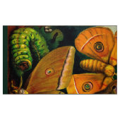 Silk Moth Stof (Fat Quarter)