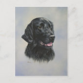 Silka Briefkaart (Voorkant)