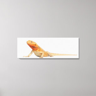 SilkBacks schaalloze draak - Pogona Canvas Afdruk