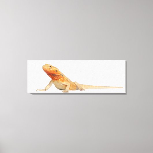 SilkBacks schaalloze draak - Pogona Canvas Afdruk (Voorkant)