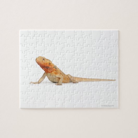 SilkBacks schaalloze draak - Pogona Legpuzzel (Horizontaal)