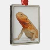 SilkBacks schaalloze draak - Pogona Metalen Ornament (Rechts)