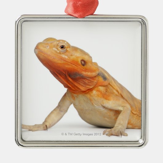SilkBacks schaalloze draak - Pogona Metalen Ornament (Voorkant)