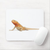 SilkBacks schaalloze draak - Pogona Muismat (Met muis)