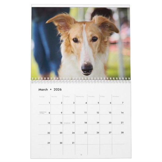 Silken Puppy Calendar 2017 Kalender (Mar 2026)