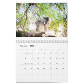 Silken Puppy Calendar 2017 Kalender (Feb 2026)