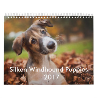 Silken Puppy Calendar 2017 Kalender