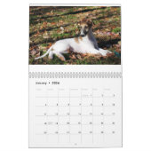 Silken Puppy Calendar 2017 Kalender (Jan 2026)