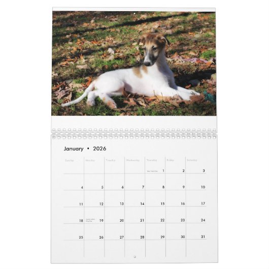 Silken Puppy Calendar 2017 Kalender (Jan 2026)