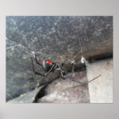 Silken Strands Poster (Voorkant)