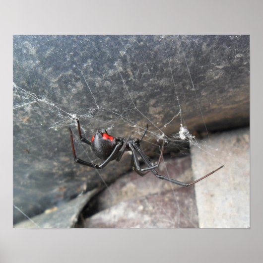 Silken Strands Poster (Voorkant)