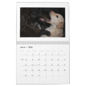 Silken Windhound Puppies 2013 Kalender (Mar 2026)