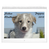 Silken Windhound Puppies 2013 Kalender (Hoes)
