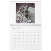 Silken Windhound Puppies 2013 Kalender (Feb 2027)