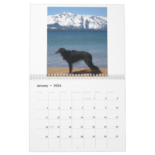 Silken Windhounds 2013-2 Kalender (Jan 2026)