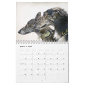 Silken Windhounds 2015 Kalender (Mar 2027)