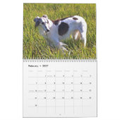 Silken Windhounds 2015 Kalender (Feb 2027)