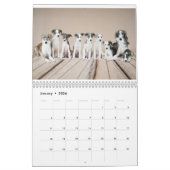 Silken Windhounds 2021, door Vicky Groebl - Puppie Kalender (Jan 2026)