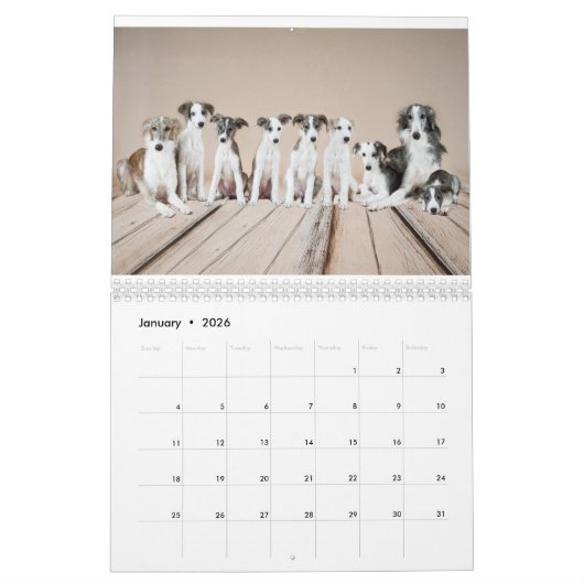 Silken Windhounds 2021, door Vicky Groebl - Puppie Kalender (Jan 2026)