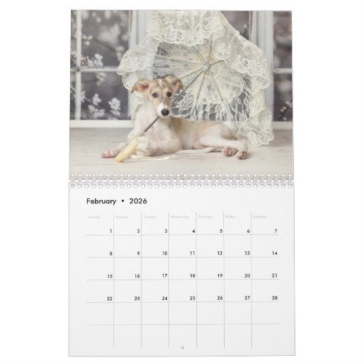 Silken Windhounds 2021, door Vicky Groebl - Puppie Kalender (Feb 2026)