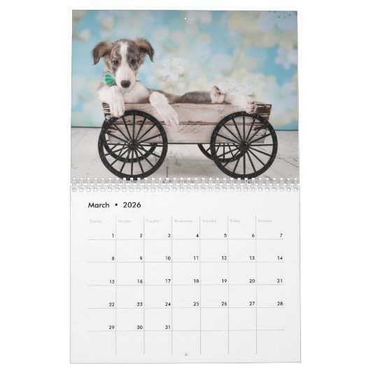 Silken Windhounds 2021, door Vicky Groebl - Puppie Kalender (Mar 2026)