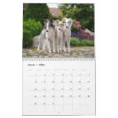 Silken Windhounds 2021, door Vicky Groebl - Volwas Kalender (Mar 2026)