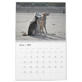 Silken Windhounds 2021 - Fun at the Beach Kalender (Mar 2027)