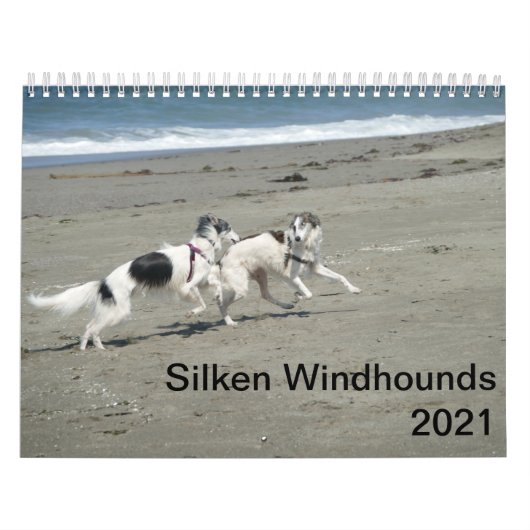 Silken Windhounds 2021 - Fun at the Beach Kalender (Hoes)