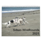 Silken Windhounds 2021 - Fun at the Beach Kalender (Hoes)