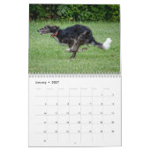 Silken Windhounds 2021 in actie Kalender (Jan 2027)