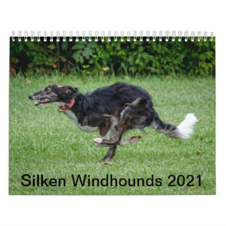 Silken Windhounds 2021 in actie Kalender