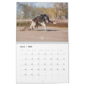 Silken Windhounds 2021 in actie Kalender (Mar 2026)