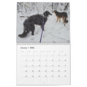 Silken Windhounds 2021 Meervoudige Volwassenen Kalender (Jan 2026)
