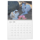 Silken Windhounds 2021 - met de kalender van Vrien (Mar 2026)