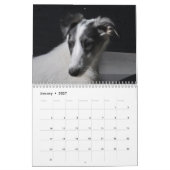 Silken Windhounds 2021 Puppies Kalender (Jan 2027)