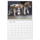 Silken Windhounds 2021 Puppies Kalender (Mar 2027)