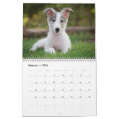 Silken Windhounds 2021 Puppies Kalender (Feb 2026)
